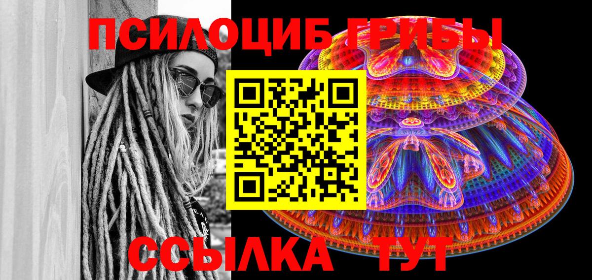 Галлюциногенные грибы Magic Shrooms  Псилоцибиновые грибы прущие грибы  Вход с VPN  Прокопьевск 